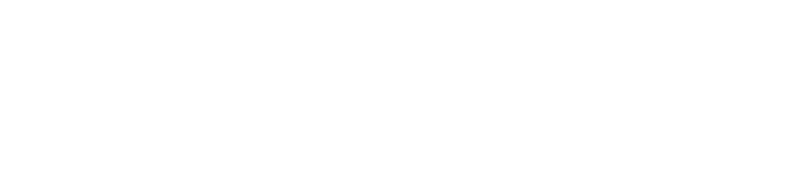 Donizon Logo